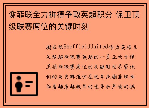 谢菲联全力拼搏争取英超积分 保卫顶级联赛席位的关键时刻 谢菲联全力拼搏争取英超积分 保卫顶级联赛席位的关键时刻