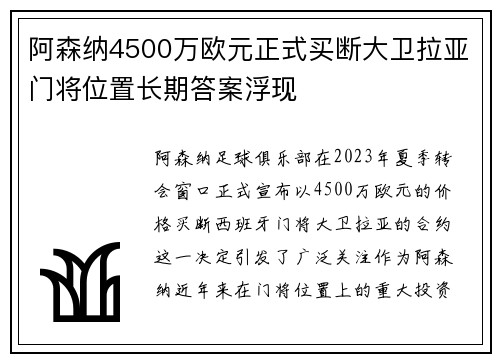 阿森纳4500万欧元正式买断大卫拉亚门将位置长期答案浮现