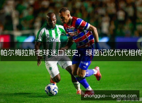 帕尔梅拉斯老球迷口述史,绿茵记忆代代相传 帕尔梅拉斯老球迷口述史,绿茵记忆代代相传