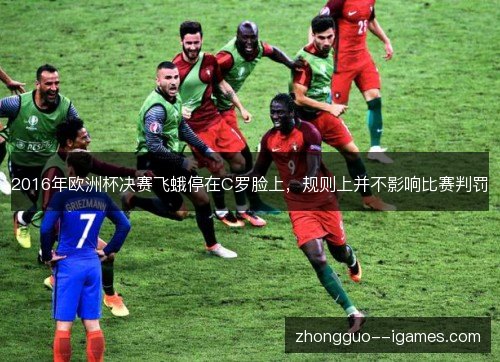 2016年欧洲杯决赛飞蛾停在C罗脸上,规则上并不影响比赛判罚 2016年欧洲杯决赛飞蛾停在C罗脸上,规则上并不影响比赛判罚